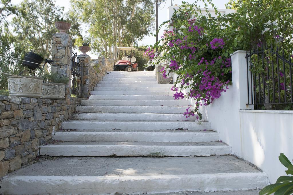 Roditses Beach Sea Front Apartments Samos Town Exterior foto