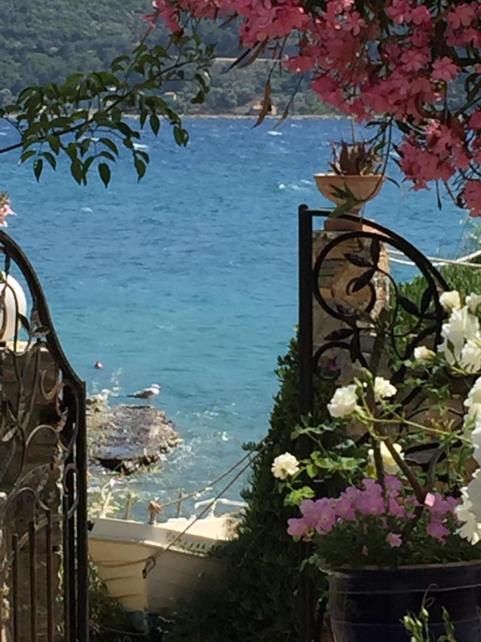 Roditses Beach Sea Front Apartments Samos Town Exterior foto