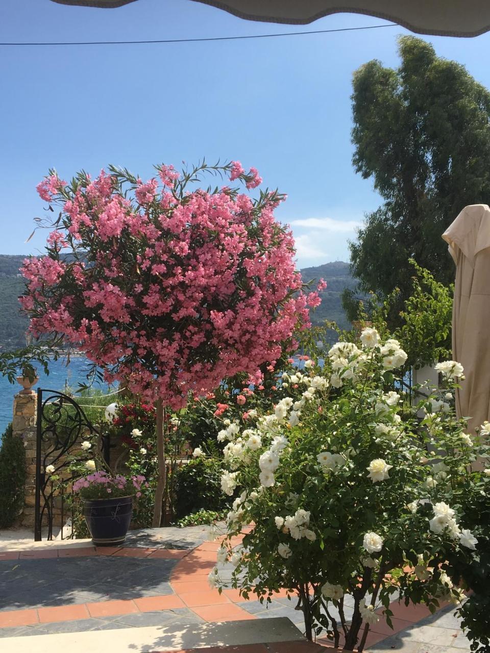 Roditses Beach Sea Front Apartments Samos Town Exterior foto