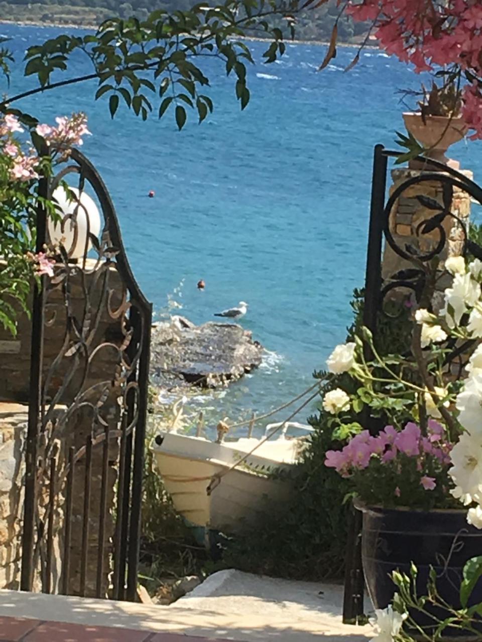 Roditses Beach Sea Front Apartments Samos Town Exterior foto