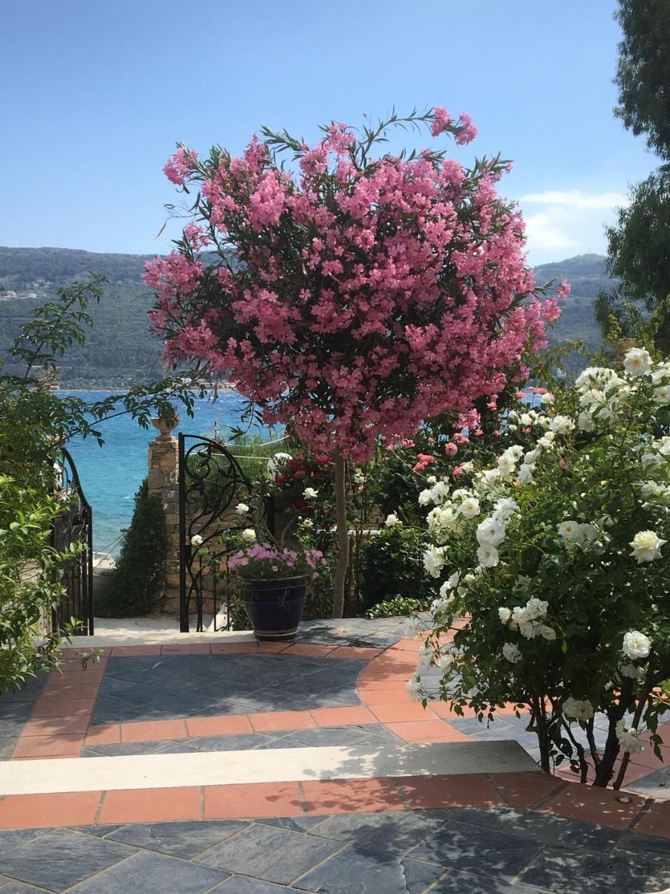 Roditses Beach Sea Front Apartments Samos Town Exterior foto